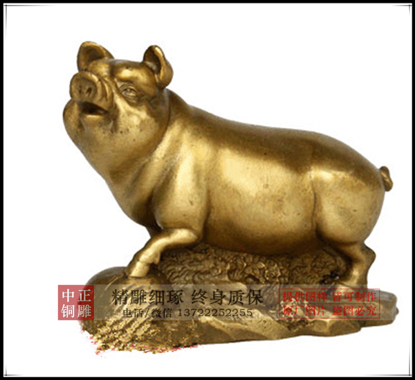 豬 (2).jpg 豬 (2).jpg