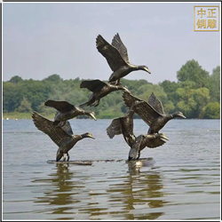 鑄銅關(guān)公 水中天鵝景觀銅雕塑